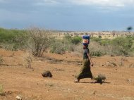 Miscellaneous &raquo; Fetching Water